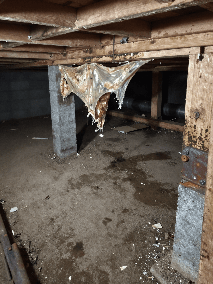 Damp crawl space before