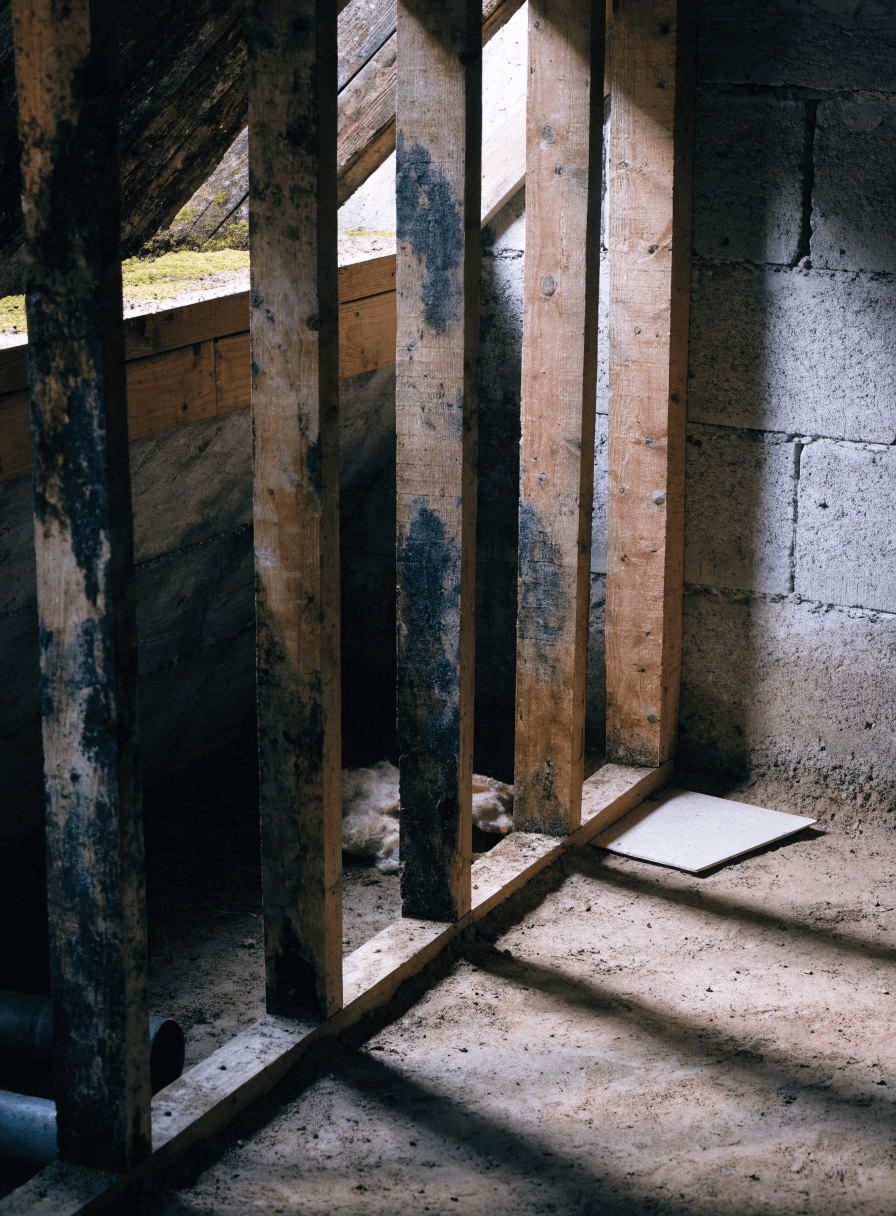 Mold on framing before
